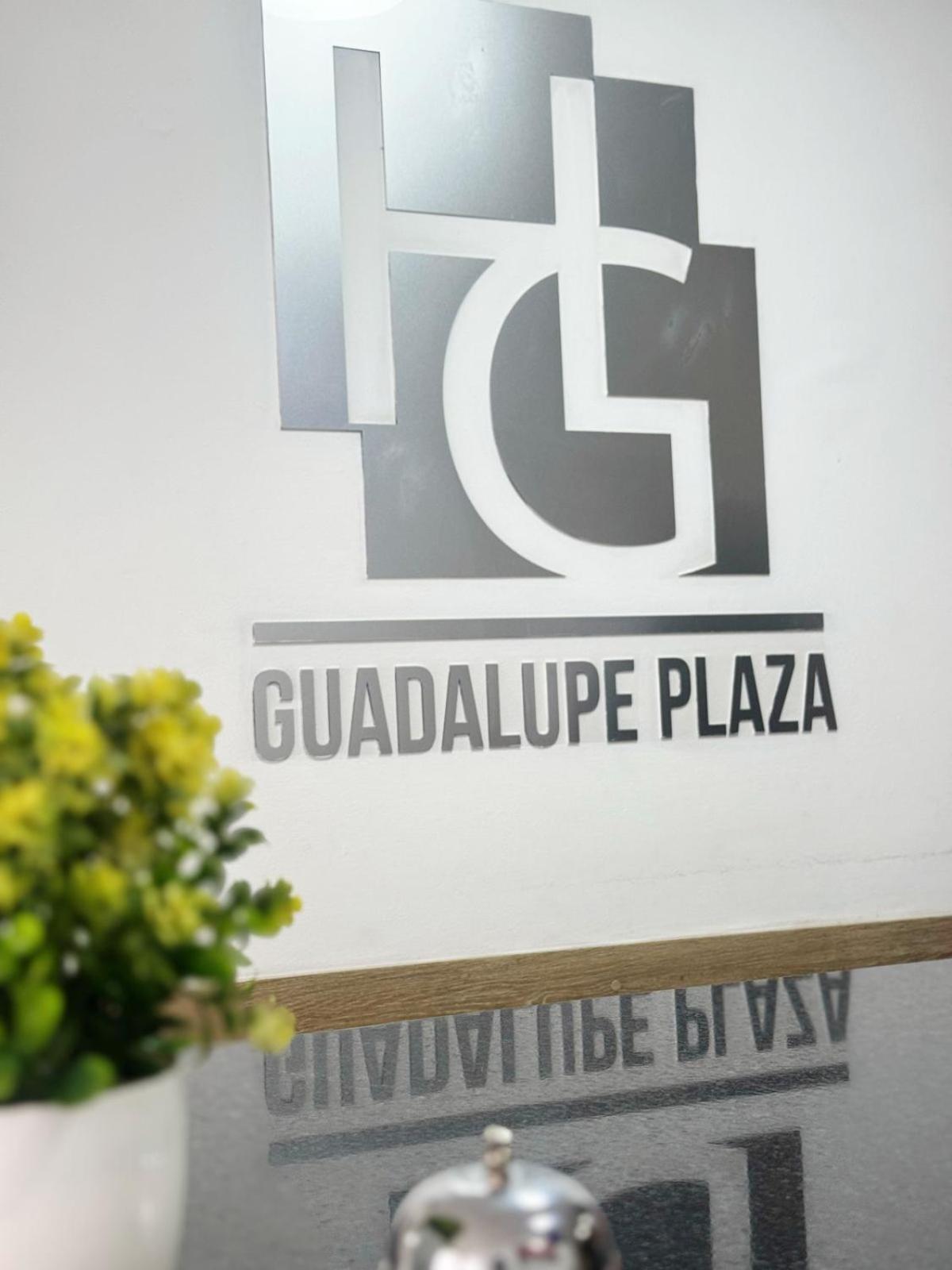 Guadalupe Plaza Hotel 3*
